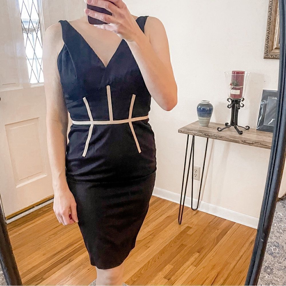 Carolina Herrera Black Fitted Sheath Dress 2